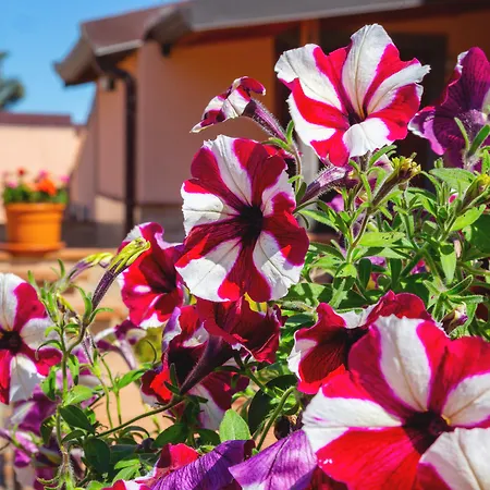Hotel La Terra Dei Sogni Country Fiumefreddo di Sicilia