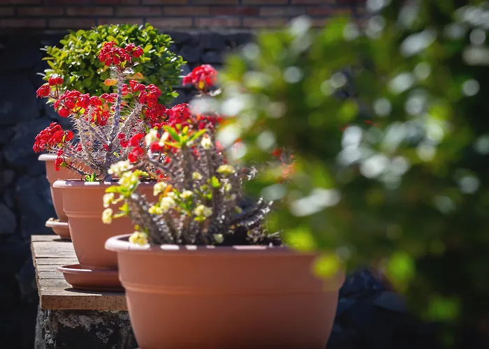 Hotel La Terra Dei Sogni Country Fiumefreddo di Sicilia