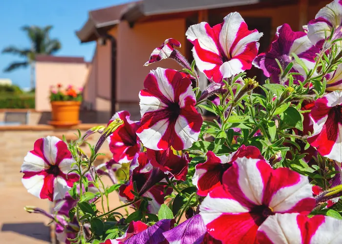 Hotel La Terra Dei Sogni Country Fiumefreddo di Sicilia