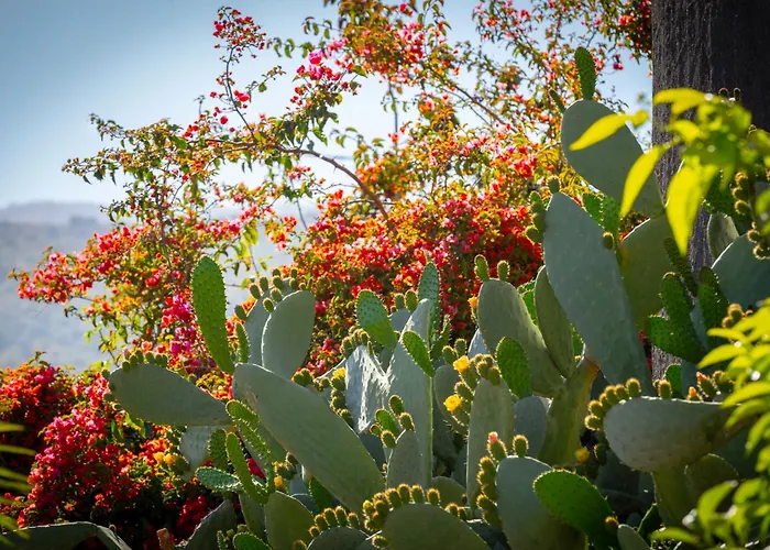 La Terra Dei Sogni Country 3* Fiumefreddo di Sicilia