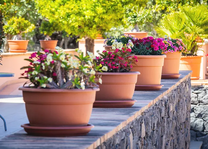 La Terra Dei Sogni Country Hotel 3*