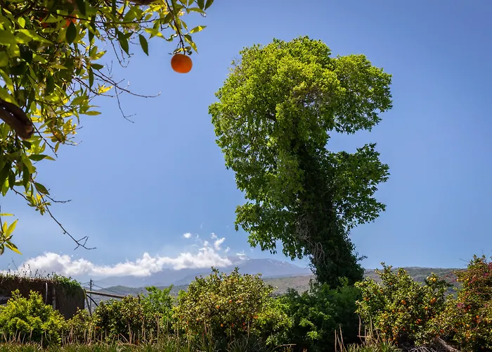 La Terra Dei Sogni Country Hotel 3*